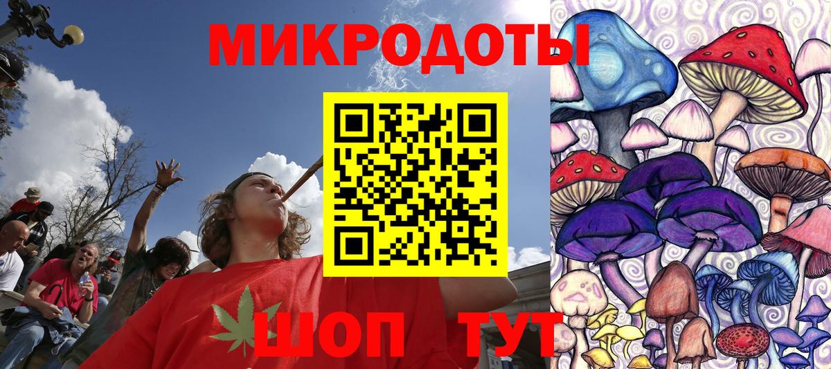 Гудермес  Псилоцибиновые грибы Magic Shrooms  Вход с VPN  Псилоцибиновые грибы Cubensis 