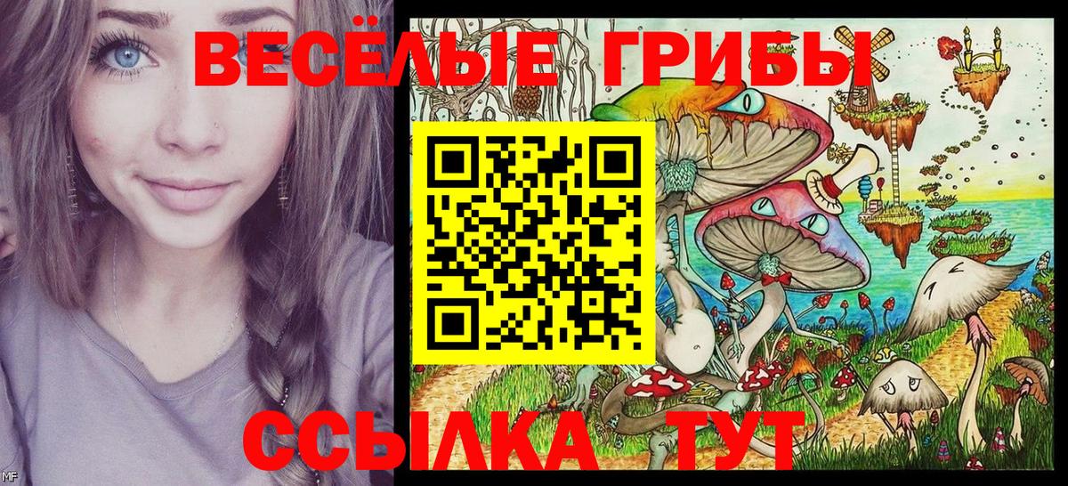 Галлюциногенные грибы GOLDEN TEACHER Гудермес